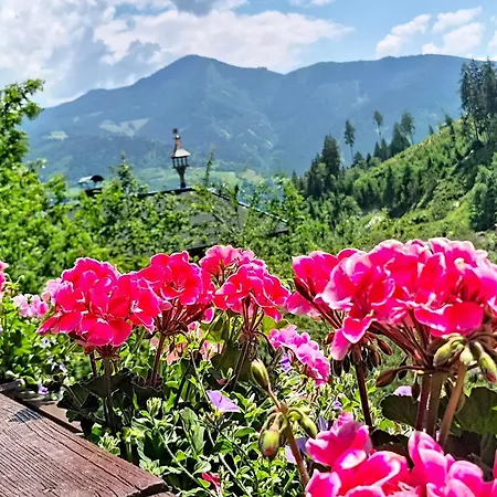 Alpenhit Zell Am By Interhome Zell am See