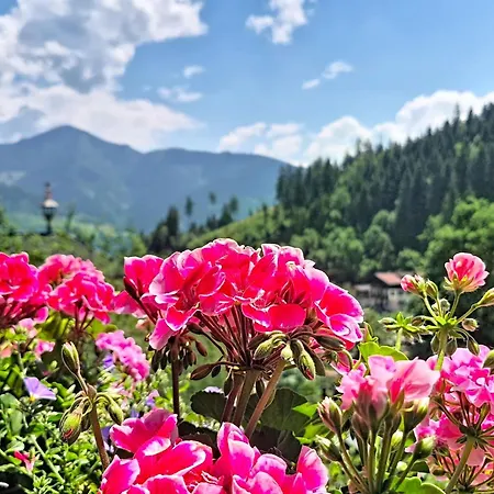 Ferienhaus Alpenhit Zell Am By Interhome Zell am See